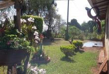 VENDE CHÁCARA EM MARIPÁ