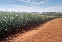 Área de terra bem localizada em Nova Santa Rosa