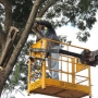 (Foto: Divulgação ) 