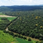 Arquivo do Parque Nacional do Iguaçu (Foto: Bruno Bimbato ) 