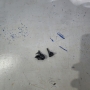 Cocaína que estava com o carona  