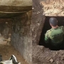  (Foto: Polícia Ambiental ) 