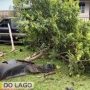  (Foto: Correio do Lago ) 