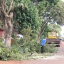  (Foto: Divulgação ) 