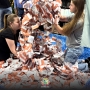  (Foto: Divulgação ) 