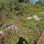  (Foto: Gilmar Angelo - Toledo News ) 