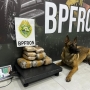 Legenda (Foto: BPFron ) 