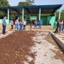  (Foto: Divulgação ) 