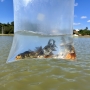  (Foto: Divulgação ) 