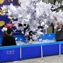  (Foto: Divulgação ) 