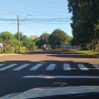  (Foto: Divulgação ) 