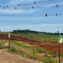  (Foto: AquiAgora.net ) 
