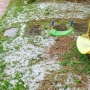  (Foto: Divulgação ) 