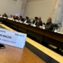  (Foto: Divulgação ) 