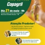  (Foto: Divulgação ) 
