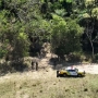  (Foto: Polícia Ambiental ) 