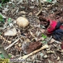  (Foto: Correio do Lago ) 