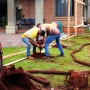  (Foto: Divulgação ) 