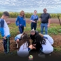  (Foto: Divulgação ) 