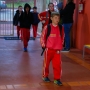  (Foto: Divulgação ) 