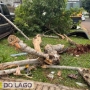  (Foto: Correio do Lago ) 
