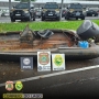  (Foto: Correio do Lago ) 