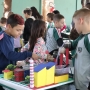  (Foto: Divulgação ) 