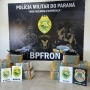  (Foto: BPFron ) 