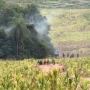 Imagens de Terra Roxa (Foto: Reprodução ) 