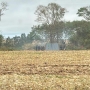 Imagens de Guaíra  (Foto: Reprodução ) 